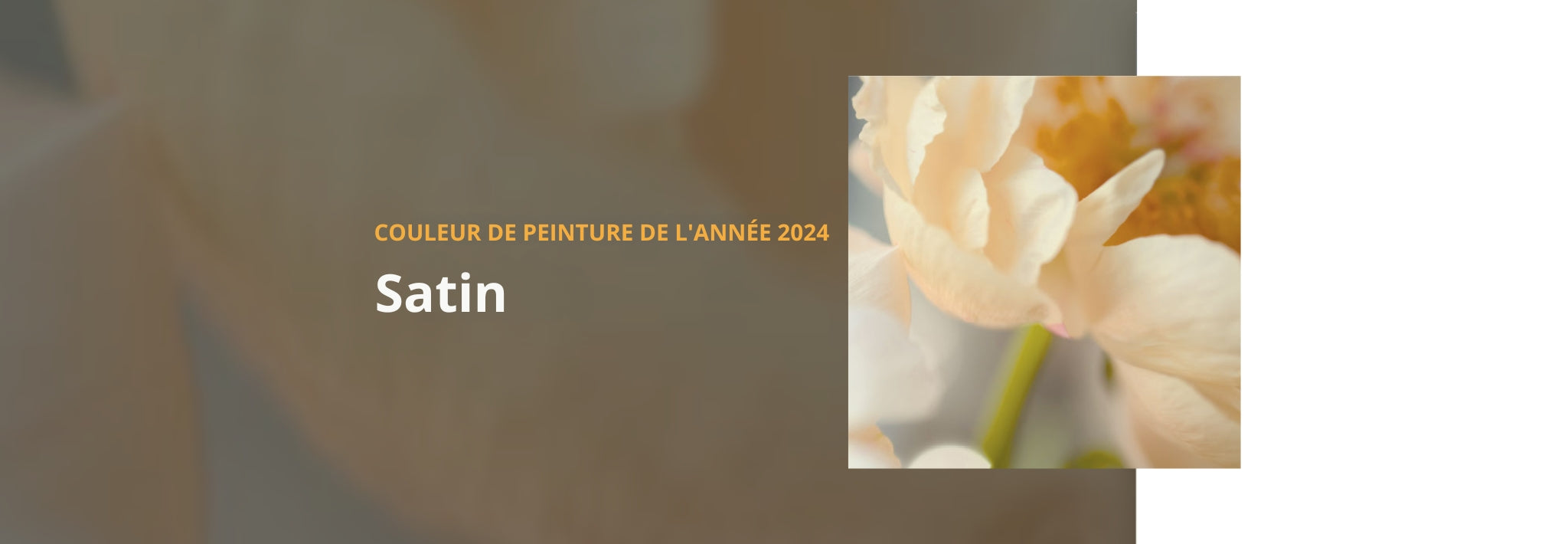 Couleur Sico 2024 | Dumas Peinture