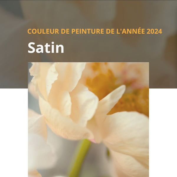 Couleur Sico 2024 | Dumas Peinture